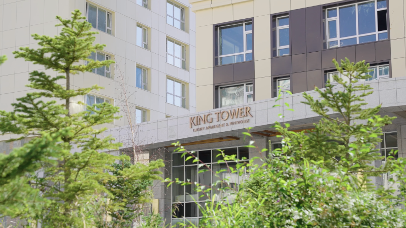 Author's landscaping